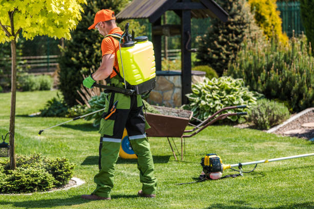 Best Lawn Pest Control  in St Ignace, MI